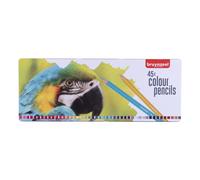 Bruynzeel Artista Matite Colorate Pappagallo Set Fare Schizzi Regalo di Latta 45