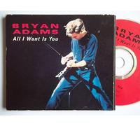 Bryan Adams - All I Want is (1991, Plus 'Long Gone, Run to You [Live]')