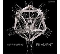 Bryce Dessner Filament (CD) Album