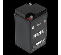 BS Battery Batteria SLA senza manutenzione attivata in fabbrica - B49-6