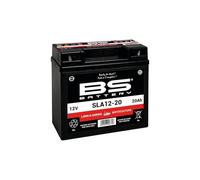 Bs Battery Sla12-20 Sealed Lead-acid Battery Trasparente