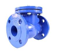 BS DIN AWWA PN16 Duction Cast Iron Body Flang Swing Check Valve