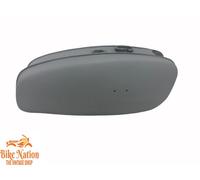 BSA A65 THUNDERBOLT LIGHTNING SERBATOIO CARBURANTE RAW|Adatto per