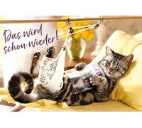 BSB Scheda di recupero generale "Das wird schon wieder wieder !" Gatto con medicazione 421264-2