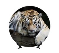 BSCKKDMN Piatti decorativi in porcellana Bone China, Tigre Sdraiata sulla Roccia Piatto Decorativo in Ceramica Con Espositore Piatti da Cena Artigianato Artigianato 7 "Ornamenti in Ceramica