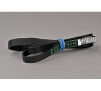 BSD Cinghia Di Trasmissione Lavatrice 1181 H7 Hutchinson 1133mm Nero