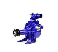 BSD Pompa per acqua a cinghia trapezoidale 2”, ideale per drenaggio e irrigazione, robusta turbina in acciaio, capacità 30 m3/h, fino a 5-6 mm di impurità.