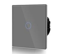 Bseed 1 Gang 1 via, interruttore di controllo touch generale, interruttore da parete con controllo touch, con indicatore LED e pannello in vetro, 110 V-240 V, grigio