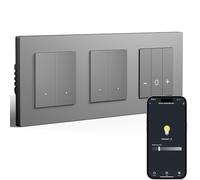 BSEED Doppio interruttore intelligente della luce con dimmer WiFi, interruttore dimmer a LED da incasso, compatibile con Alexa&Google Home, telaio PC, calendario intelligente, 2 scomparti, 1 via