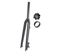 BSFHQS Forcella Rigida per Bici da Strada 700C Forcella Anteriore con Freno A Disco 700C 9 * 100MM QR