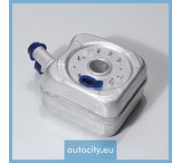 BSG 90-506-002 Radiatore olio, Olio motore