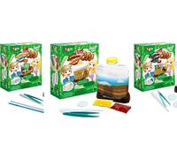 BSM - Set di 3 giochi scientifici: Mini Formiche City + Mini Lombric City + Mini Lumaca City - Gioco giocoso per bambini - Allevamento lumaca - Fattoria per formiche - Fattoria a vermi - WS 929/3