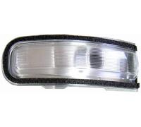 BSSTORE Freccia Specchietto Laterale RENEGADE Ricambio Compatibile (Lato Destro)