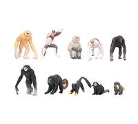 BSTCAR Set di 10 modelli di scimmie Proboscis Monkey Gibbon Orangutan Lemur Modello Realistico Animale Modelli Primate per Bambini
