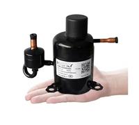 BSW020SKEW3GGA Compressore Rotativo A Conversione Di Frequenza DC In Miniatura Portatile Refrigerante R134a Parti Del Frigorifero Refrigerante