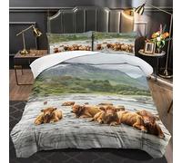 BSYYZQC Copripiumino 135x200 Altopiano Copripiumini Yak Copripiumone, Reversibile Copripiumoni e 2 Federe 50x80 cm, Microfibra Traspirante Morbido 3 Pezzi con Cerniera