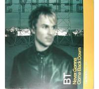 BT - BT / NEVER GONNA COME BACK DOWN (RMXS)
