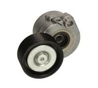 BTA B05-01-021 Rullo tenditore, Cinghia Poly-V per MERCEDES-BENZ,SETRA