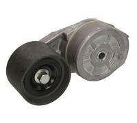 BTA B05-01-031 Tenditore cinghia servizi