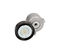 BTA B05-01-044 Braccio tenditore, Cinghia Poly-V per IVECO