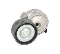 BTA B05-01-050 Tenditore cinghia servizi