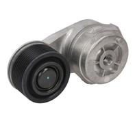 BTA B05-01-080 Tendicinghia, Cinghia Poly-V per DAF