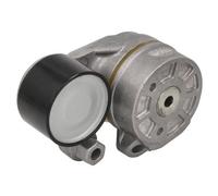 BTA B05-01-087 Tendicinghia, Cinghia Poly-V per RENAULT TRUCKS,VOLVO