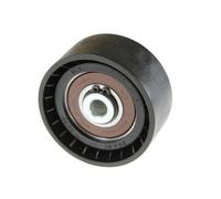BTA B05-02-003 Rullo tenditore, Cinghia Poly-V per SCANIA