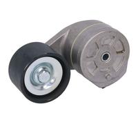 BTA B05-AG-005 Braccio tenditore, Cinghia Poly-V