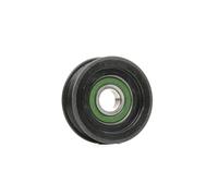 BTA E20313BTA Galoppino / Guidacinghia, Cinghia trapezoidale