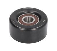 BTA E22021BTA Rullo tenditore, Cinghia Poly-V per TOYOTA