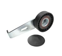 BTA E2C0031BTA Rullo tenditore, Cinghia Poly-V per CITROËN,FIAT,PEUGEOT