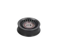 BTA Tendicinghia E2G0029BTA – Tenditore cinghia a V per Ford Fiesta IV 1.8 (2000-)
