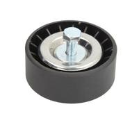 BTA E2G5232BTA Galoppino/Guidacinghia, Cinghia Poly-V per FORD