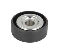 BTA E2R5607BTA Rullo tenditore, Cinghia Poly-V per DACIA,NISSAN,RENAULT