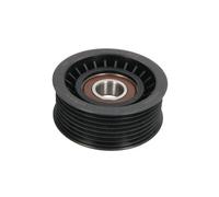 BTA E2W0002BTA Rullo tenditore, Cinghia Poly-V per AUDI,PORSCHE,VW