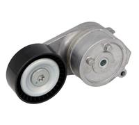 BTA E3F0010BTA Tendicinghia, Cinghia Poly-V per ALFA ROMEO,FIAT,LANCIA