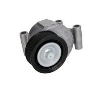 BTA E3G0002BTA Braccio tenditore, Cinghia Poly-V per FORD,MAZDA,VOLVO