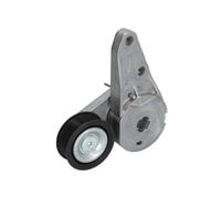 BTA E3G0005BTA Tendicinghia, Cinghia Poly-V per FORD,VOLVO