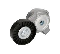 E3X0008BTA Tendicinghia, Cinghia Poly-V (MARCA BTA)..
