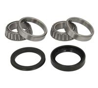 Set di cuscinetti ruota BTA H11004BTA