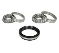 Set di cuscinetti ruota BTA H11020BTA