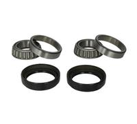 Set di cuscinetti ruota BTA H15003BTA