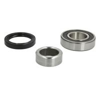 Set di cuscinetti ruota BTA H23000BTA