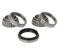Set di cuscinetti ruota BTA H25008BTA