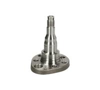 BTA H5W027BTA Fuso a snodo, Sospensione ruota per SEAT,VW