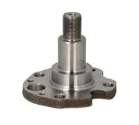 BTA H5W029BTA Mozzo ruota per VW Golf IV Hatchback (1J1) Bora Sedan (1J2)