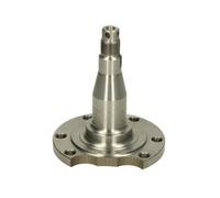 BTA Nocca Sospensione Ruota Posteriore per Audi A4 8D2 B5 1.6 1.8 80 8C