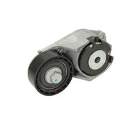 BTA Tenditore cinghia servizi E3G0003BTA 18mm Automatico 52, 52,0mm