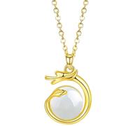 BTAKANPP Set di collane da donna, gioielli alla moda con drago zodiacale cinese, una collana di buona fortuna e armonia!, Oro, taglia unica